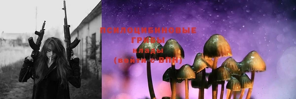 ПСИЛОЦИБИНОВЫЕ ГРИБЫ Долгопрудный