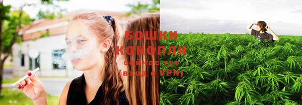 ешки Медногорск